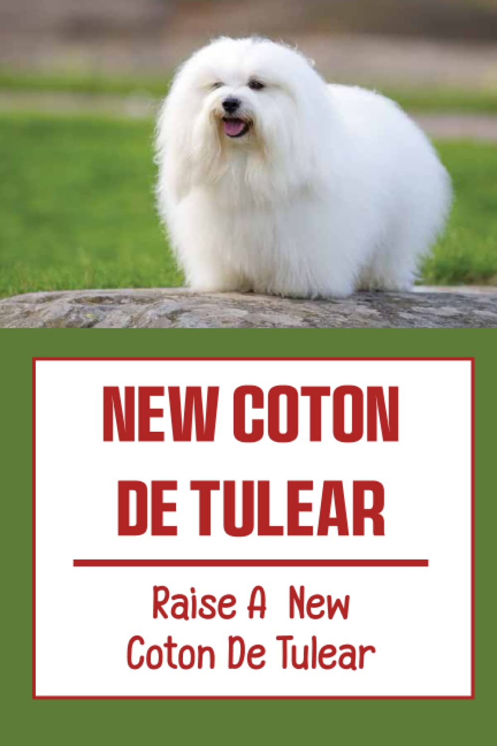 Coton Wholesale Coton De Tulear Rescue Dogs Coton De Tulear Dog