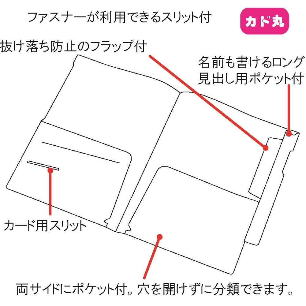 Amazon | リヒトラブ カルテフォルダー フラップ付 ダブル 100枚入 A4