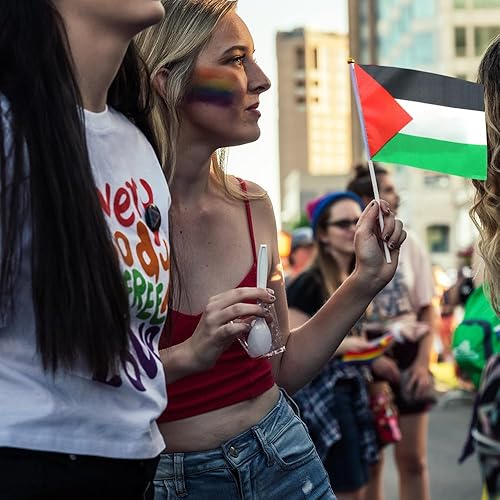 Miniatura 5 de 5 banderas palestinas de palestina pequeñas banderas palestinas de mano pequeñas banderas de Palestina en soporte de palestina, bandera ondeadora de