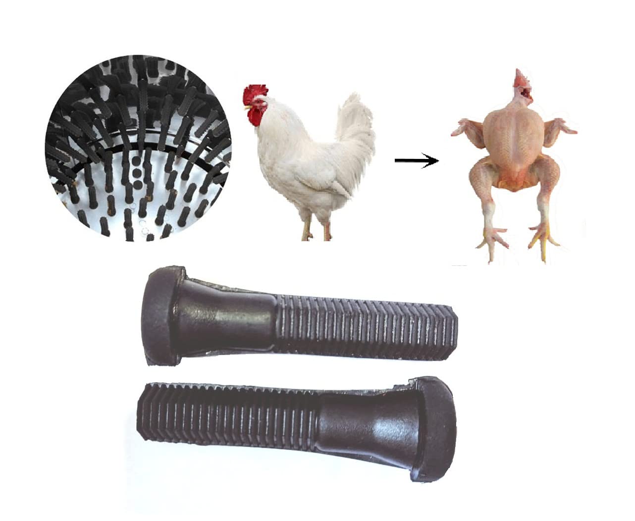 Aicon Chicken Rubber Pluckers Diamond Model - Pack of 100 Pieces (B09GS7QHNV) Amazon Price History, Amazon Price Tracker
