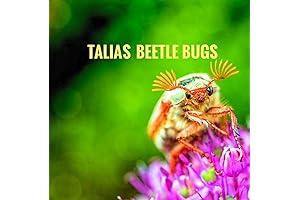 1500 Dermestid Beetle Colony Beetles, Larvae for Cleaning Flesh from Remains