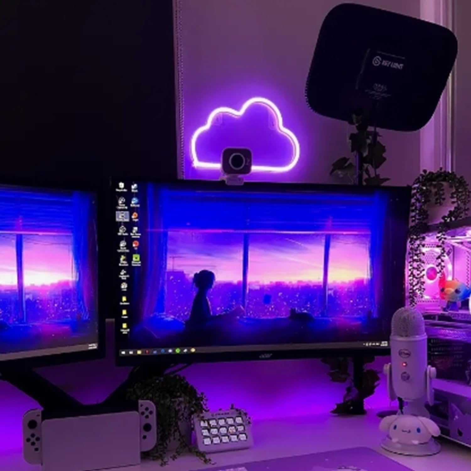 View 5