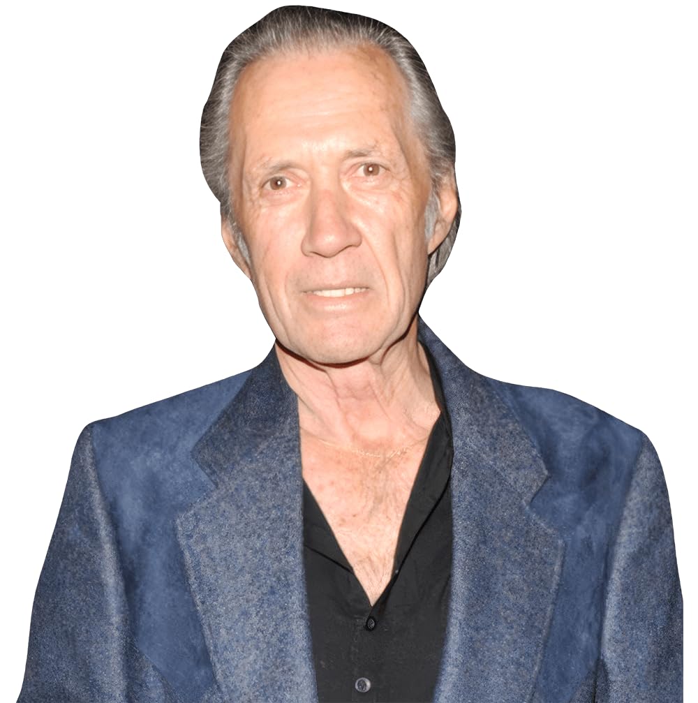 David Carradine (Blazer) Half Body Buddy Cutout