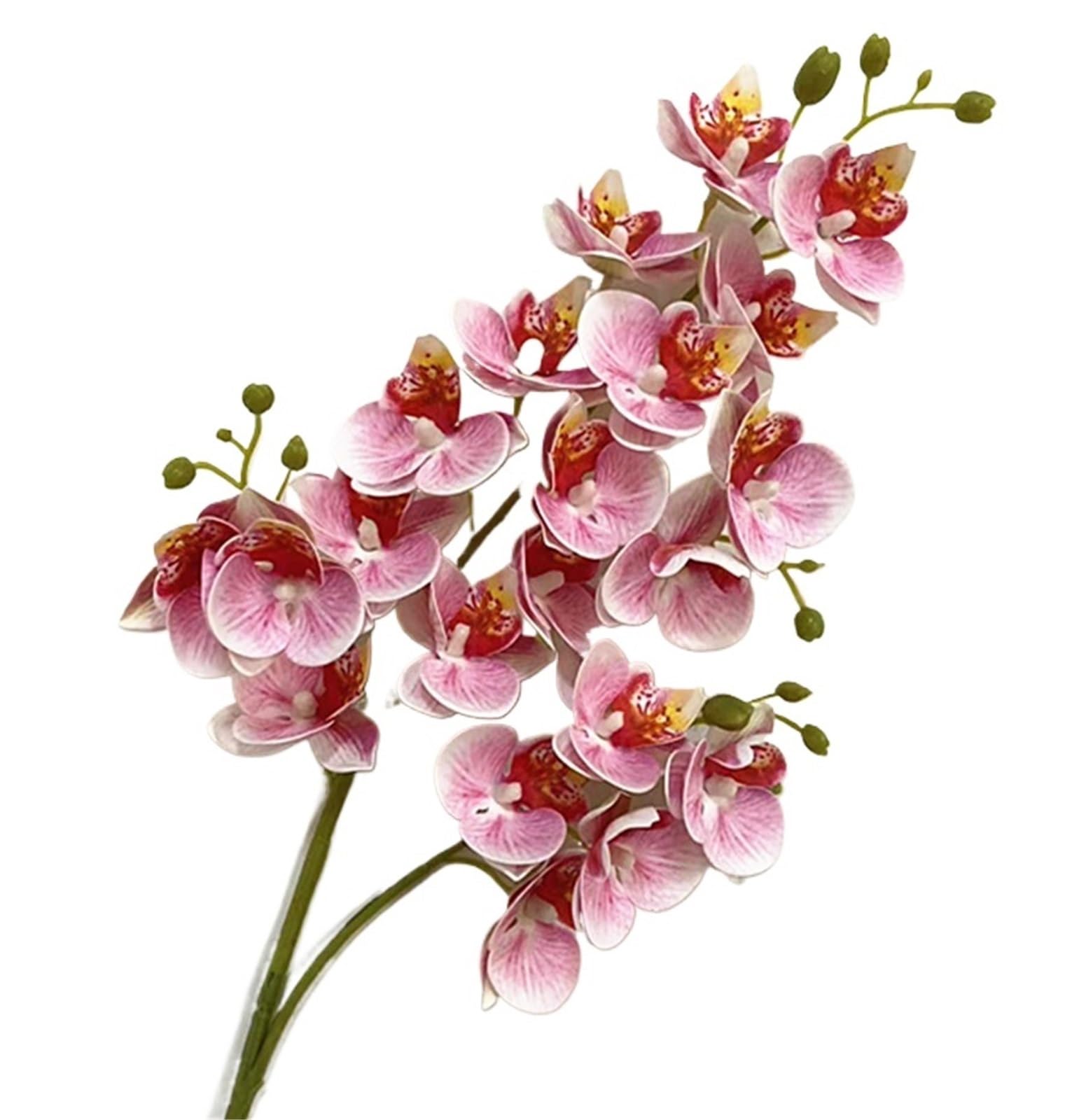 GMGQJST Artificial Orchid One Latex Butterfly Orchid Flowers