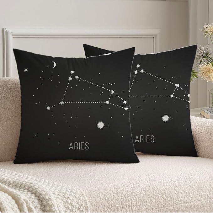 Pack of 2 Velvet Square Pillow Covers 20 x 20Board Stars Astrology Wisdom Sign Aries On Inspirational Magic Chalkboard Abstract Signs Symbols Farmhouse Boho Pillow Covers for Sofa Couch Home Décor