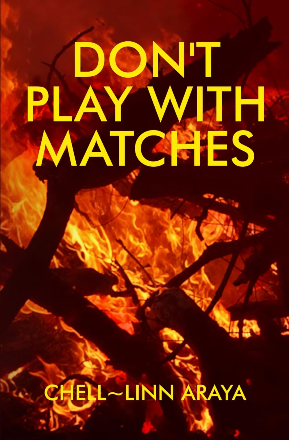 Don't Play with Matches (Detective Shawna Valentine)