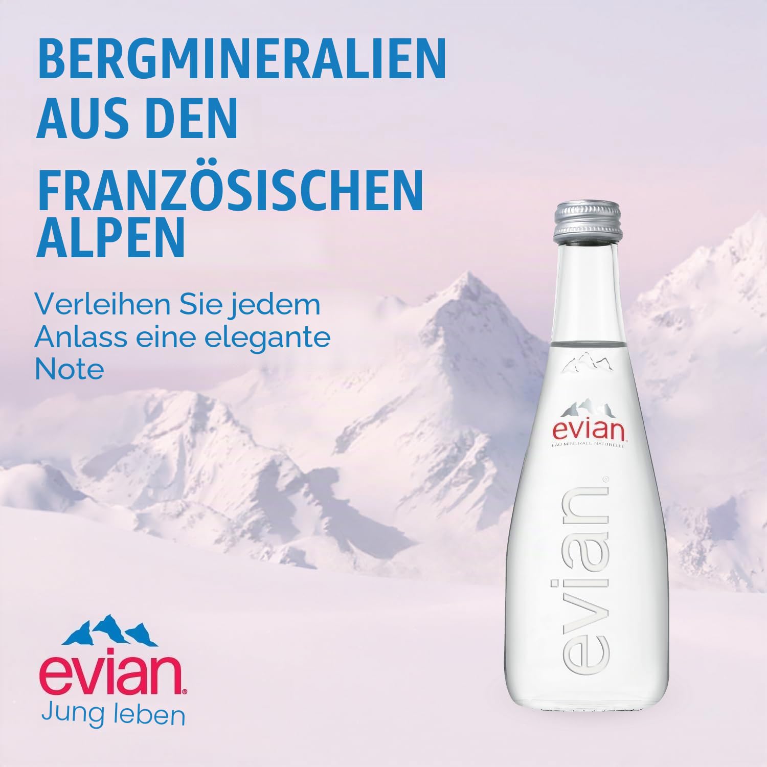 Evian natürliches Mineral-Wasser 33 cl VAP x 20
