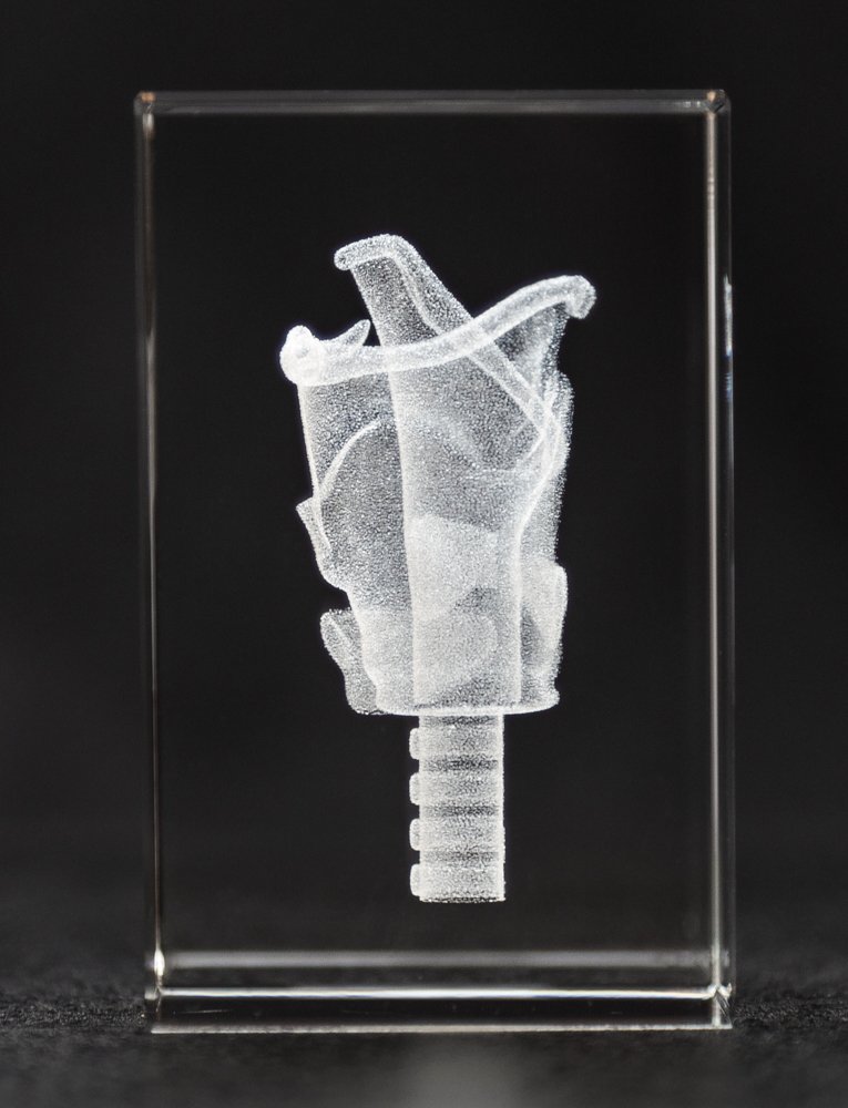 Larynx 3D Laser 1lb Crystal and Larynx Sticky Note, Anatomy, Voice Box, Singing, Adam's Apple