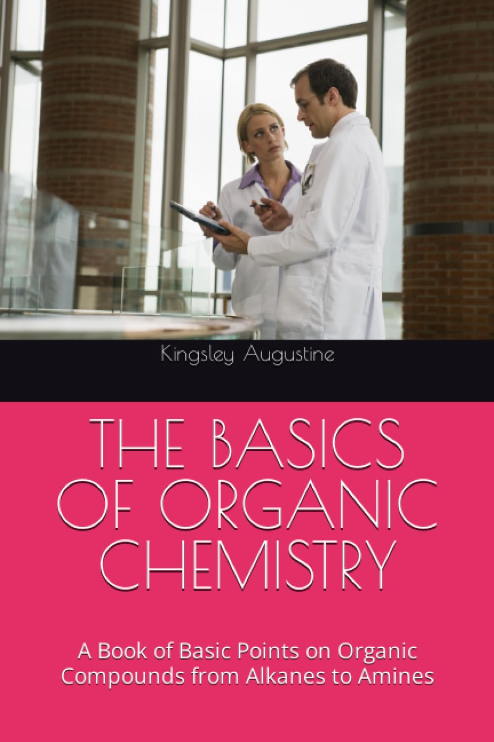 THE BASICS OF ORGANIC CHEMISTRY: A Book of Basic Points on Organic Compounds from Alkanes to Amines