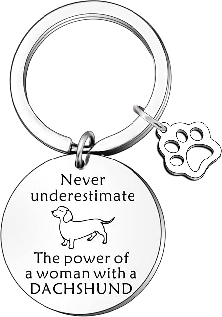 FMCC Dachshund Dog Gifts for Women Never Underestimate The Power of a Woman with a Dachshund Lover Presents Keyring