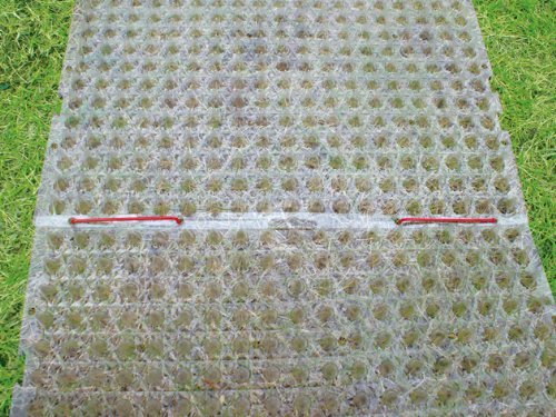 猫よけ対策グッズ徹底解説 超音波やマット スプレーなど 農業 ガーデニング 園芸 家庭菜園マガジン Agri Pick