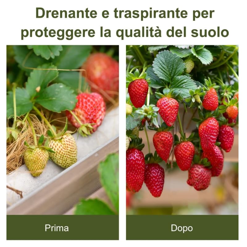 Telo Pacciamatura in Rotolo 2x25m - Anti Erbacce – Traspirante, Permeabile, Calpestabile e Drenante – Ideale per Orto, Giardino, Aiuole, Serre – Telo Pacciamatura Biodegradabile