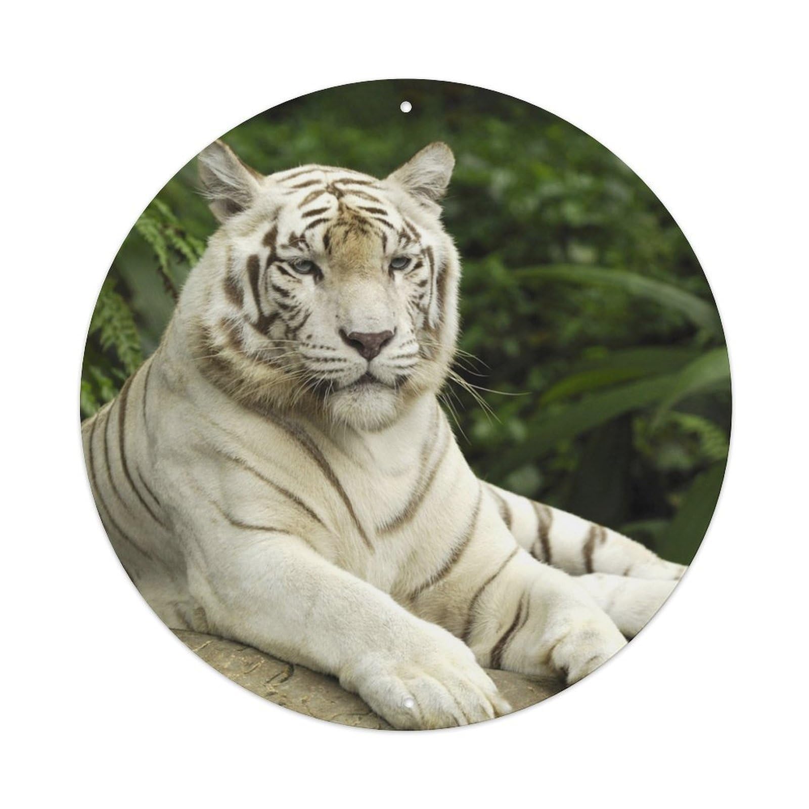 Animal Large Feline Predator White Bengal Tiger Jungle Wildlife Metal Tin Sign Plaque Wall Decor for Cafe, Man Cave, Club Bar, Office, Home Garden Round Metal Poster 8x8Inch