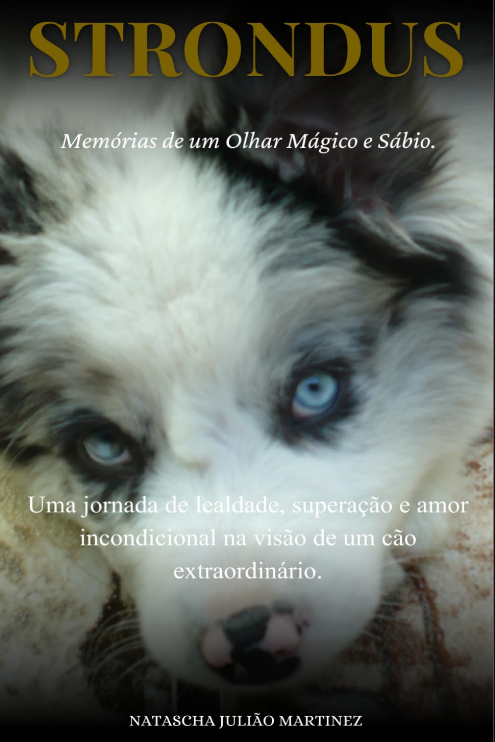 Strondus: Uma jornada de lealdade, superação e amor incondicional na visão de um cão extraordinário.