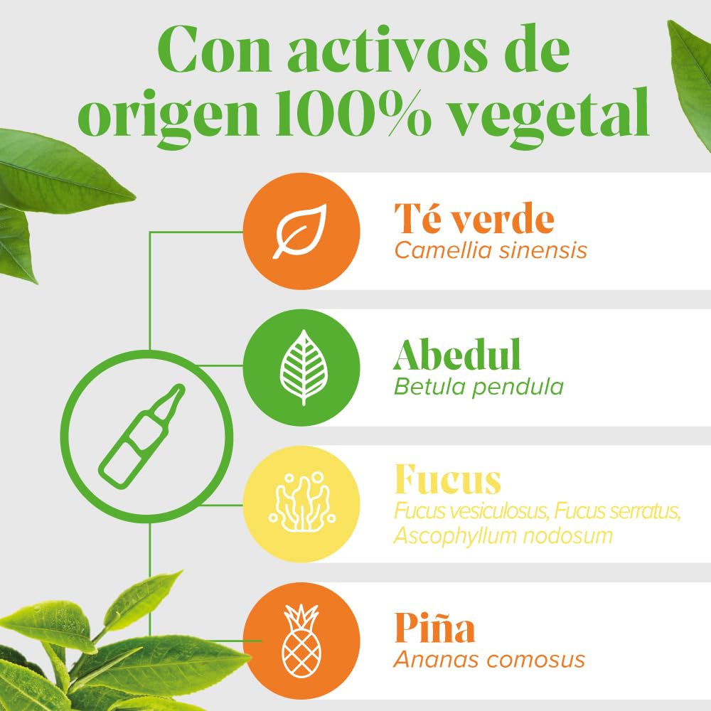 Arkopharma Arkofluido Quemagrasa Bio 20 Ampollas, Control de Peso, Saciante, Elimina Líquidos y Toxinas Más Asesoramiento Nutricional, Complemento Alimenticio, 20 Unidad (Paquete de 1)