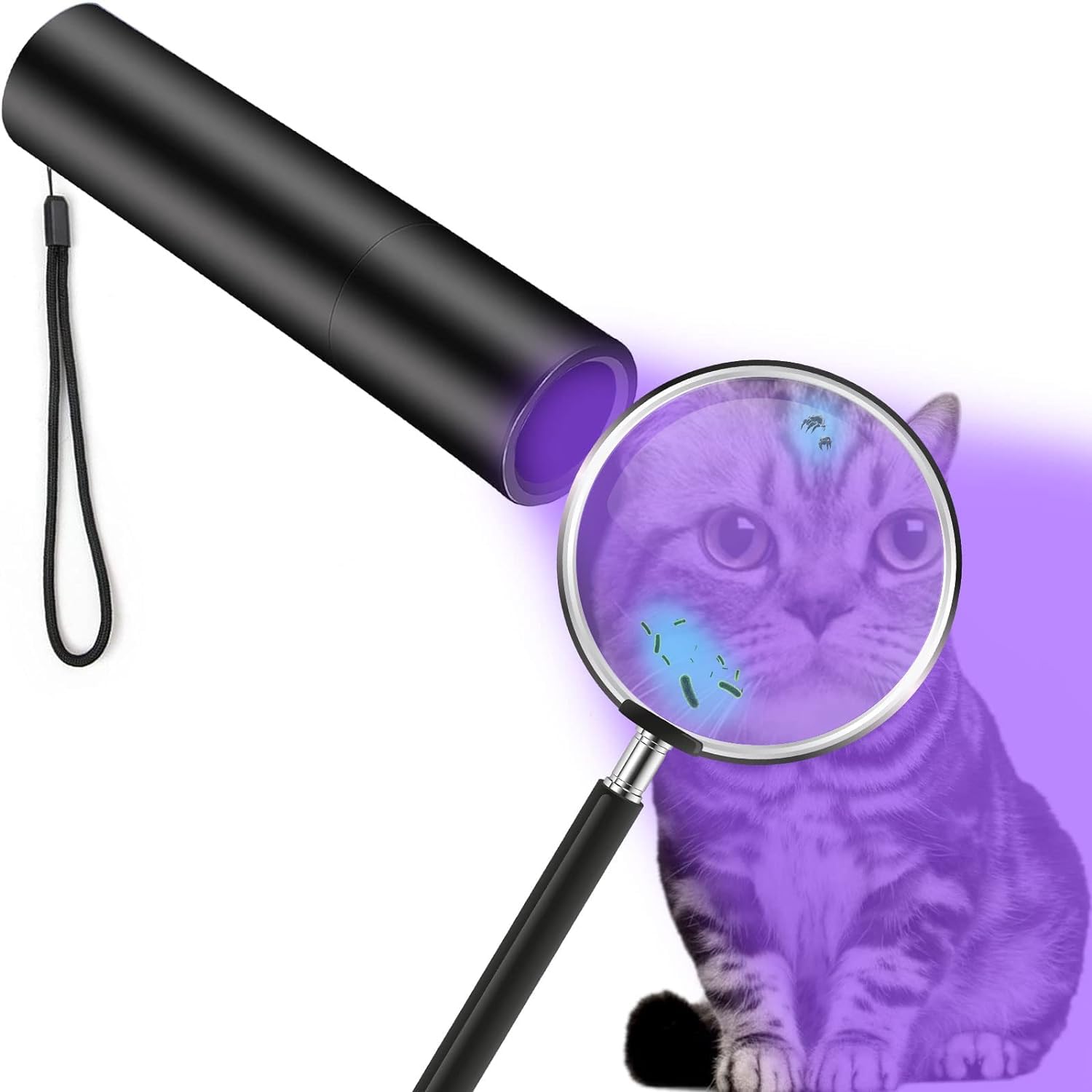 See full amazon price history chart for Clefairy Blacklight Flashlights, Fluorescent Purple Light Rechargeable UV Light 365nm UV Light LED Ultraviolet Torch for Pet Excrement Detection(Black) Clefairy Blacklight Flashlights, Fluorescent Purple Light Rechargeable UV Light 365nm UV Light LED Ultraviolet Torch for Pet Excrement Detection(Black) (B0D4MC4MHM) Amazon Price History, Amazon Price Tracker