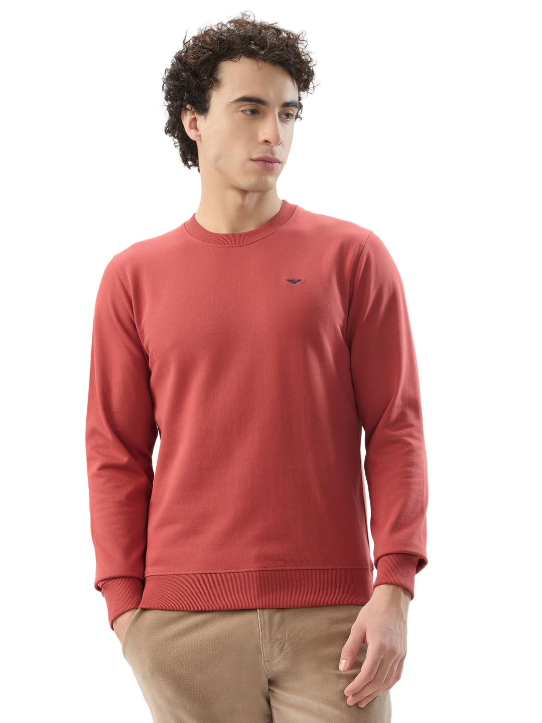 park avenue Men Slim Fit Solid Pattern Cotton Polyester Blend Round Neck Full Sleeve Casual Sweatshirt-picture-37