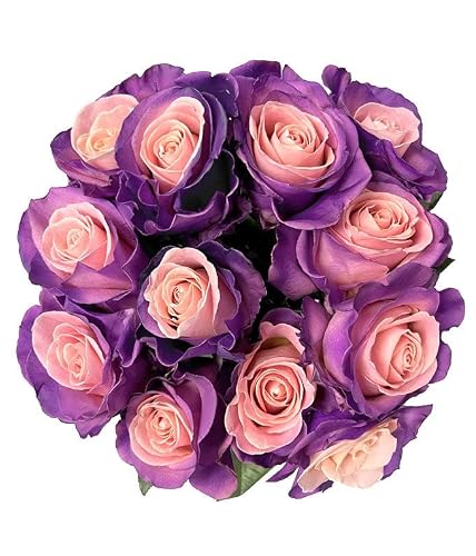 From You Flowers - One Dozen Blushing Lavender Roses with Glass Vase | Fresh Flower Bouquets for Birthday, Anniversary, Get Well or Celebration