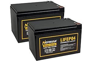 2-Pack, LiFePO4, Lithium Iron Phosphate