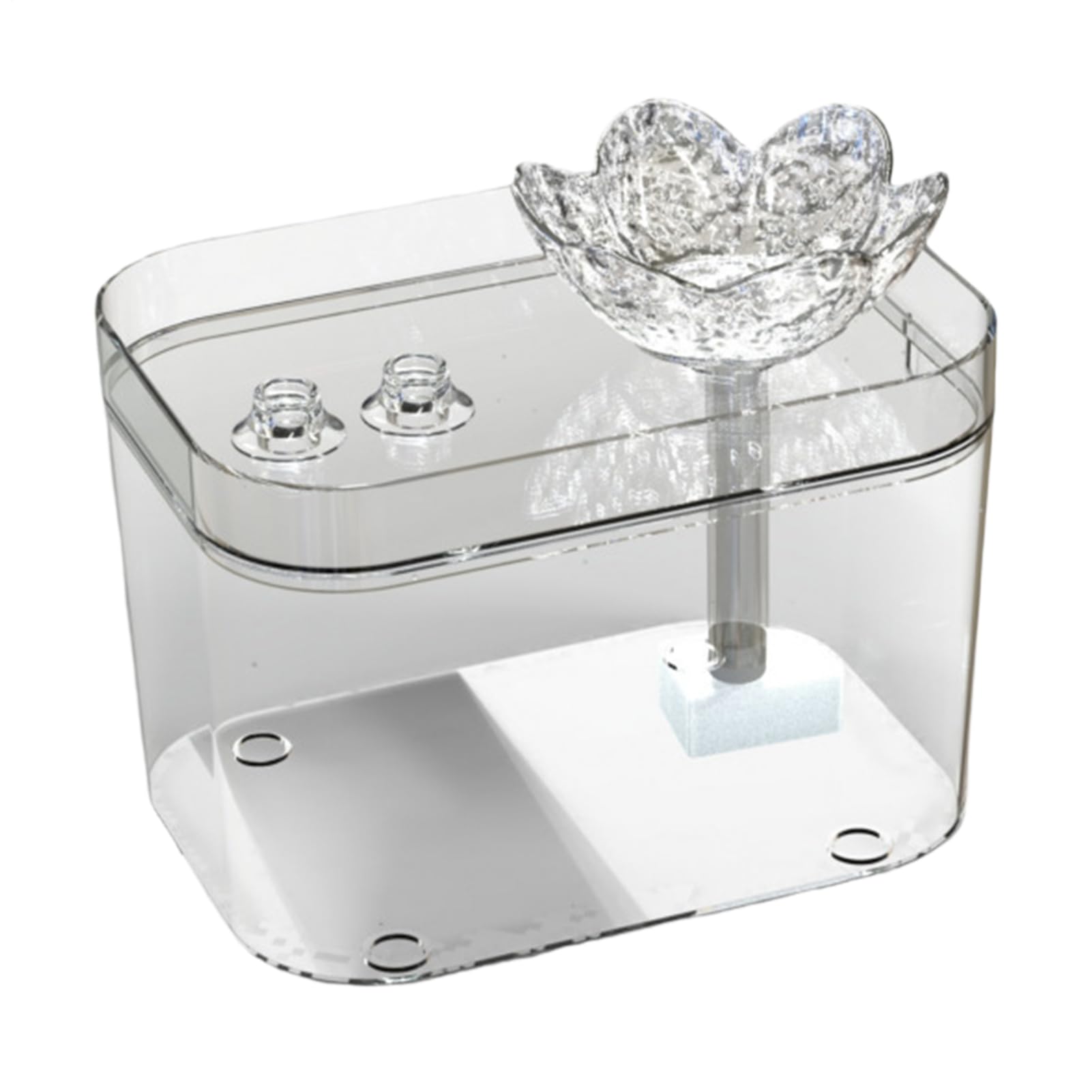 Fontaine à eau pour chat silencieuse : distributeur automatique USB avec filtre pour animaux