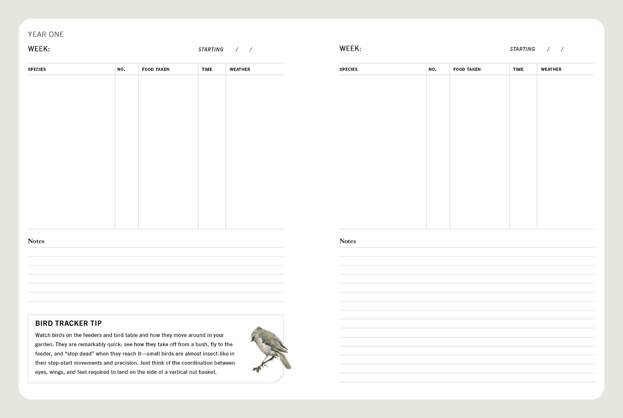 A Field Guide to Backyard Birds of North America: A Visual Directory of the Most Popular Backyard Birds - Includes a 2-Year Logbook - Image 7