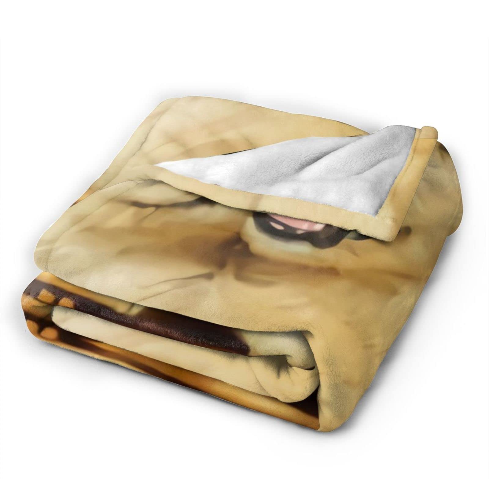 Coperta In Flanella Personalizzata Con Golden Retriever – Morbida E Calda Per Divano E Letto, Regalo Per Ragazze E Ragazzi (76x101 Cm) - 4