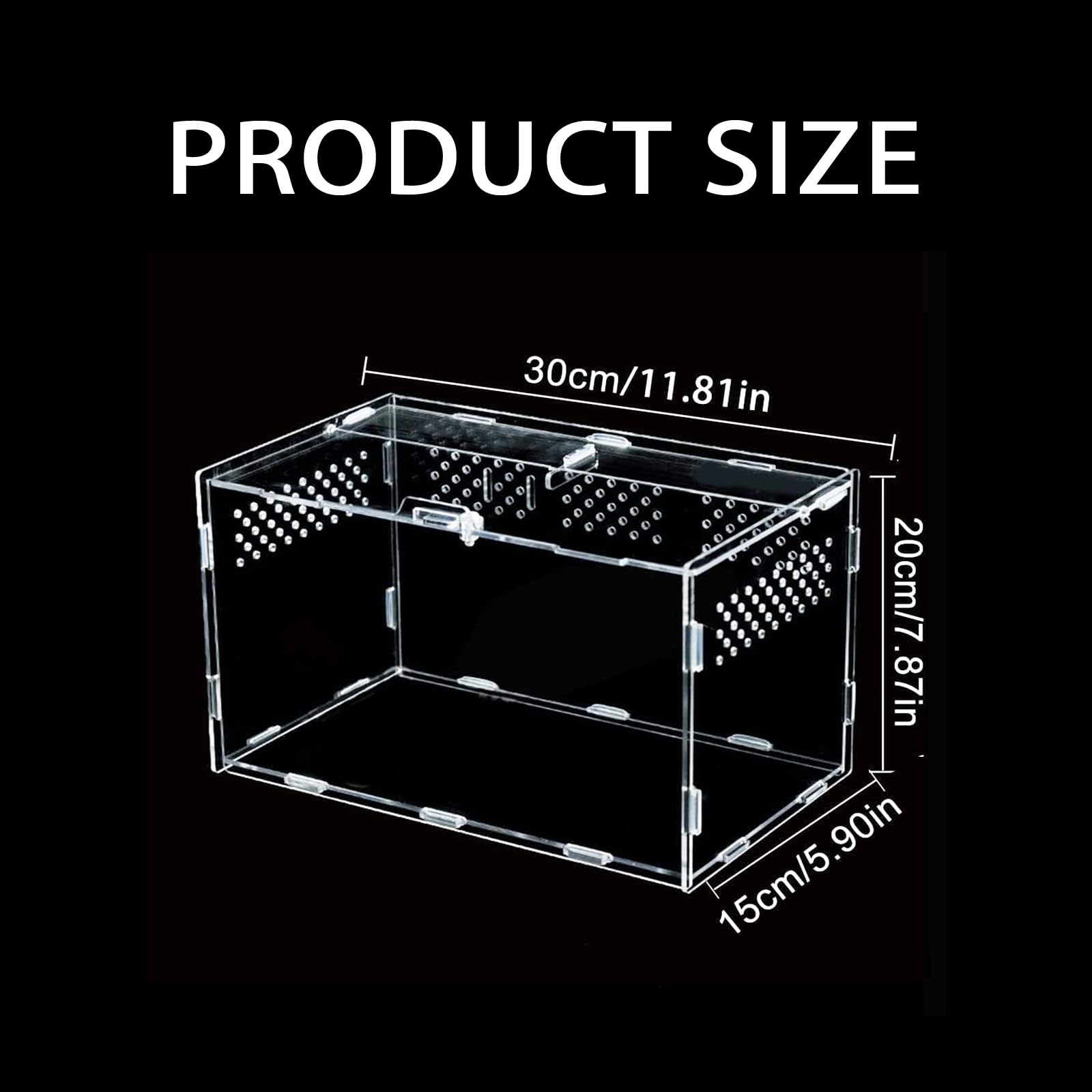 Insect Feeding Box 30x20x15cm - Image 2