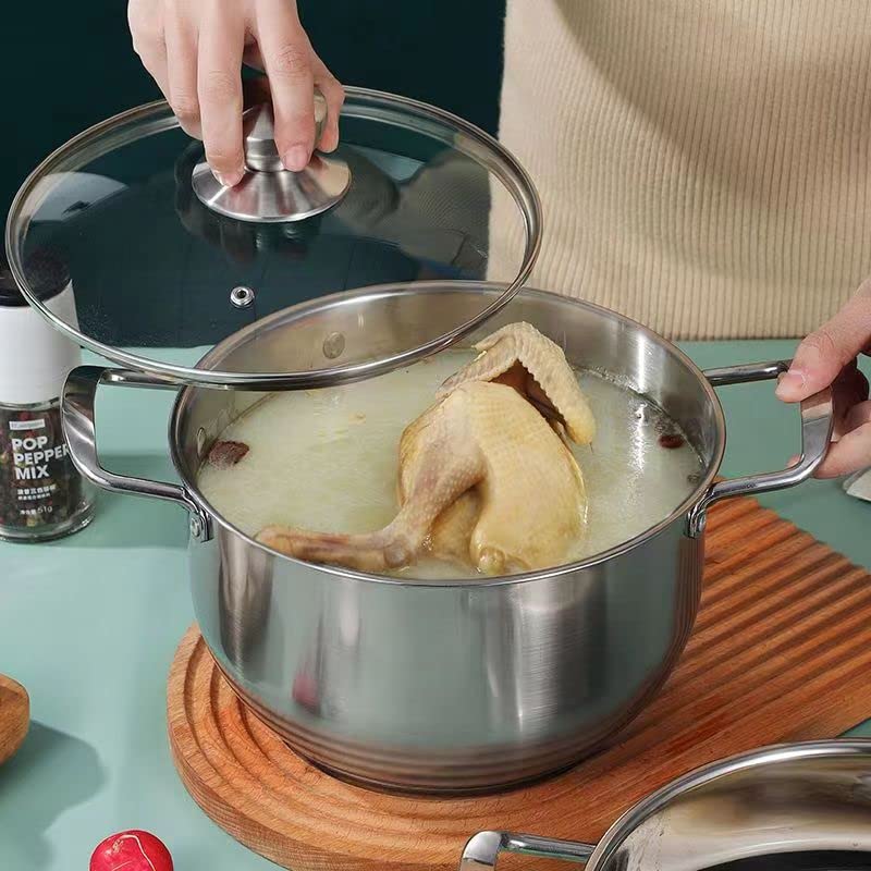 Mr. Right 18/10 Stainless Steel Dutch Oven With Glass Lid,3.5 Quart Sauce Pot with 2 Handles, Multipurpose Pot Casserole Pan Stockpot Induction Compatible Dishwasher Safe Cooking Nickel Free Healthy
