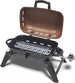 Best 2 Burner Gas Grill For Garden in 2025 8 61m+oh y4GL. AC SL289