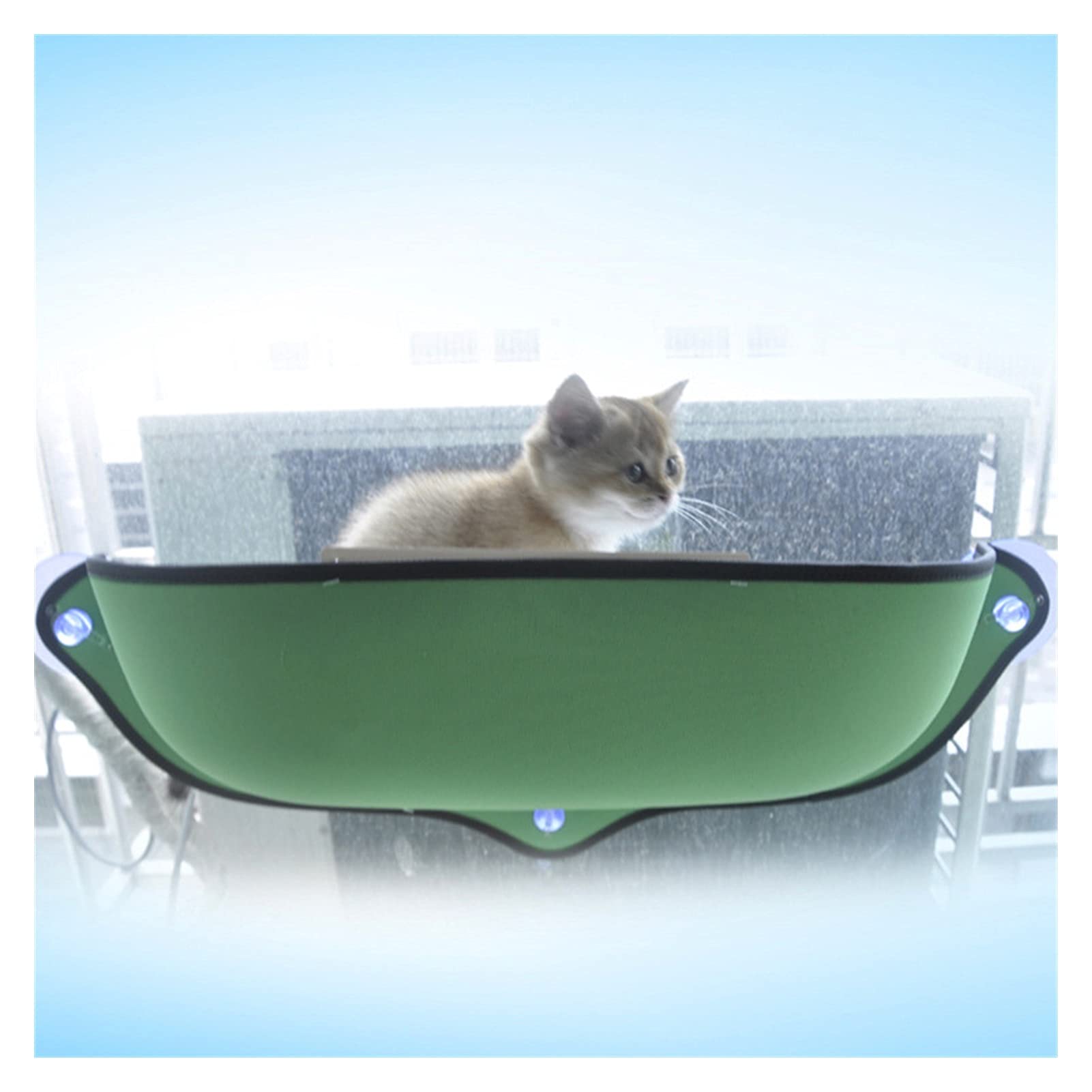 Hamac Chat/Perchoir à Chat Chat lit de chat montage chaude for chat animal domestique amovible mat mat de compagnie solide ventouse ventouse PET confortable hamac chat Products Hamac pour Animaux ( Co