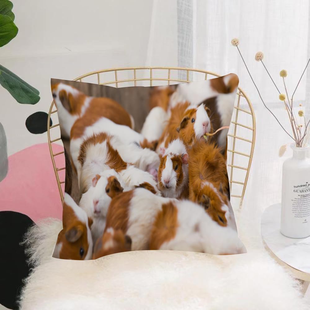 HYOSXW Cushion Cover,Throw Pillow Case Home Decorative for Living Room Bedroom Sofa Chair 16X16 Inch,Guinea pig, cute decorative pattern of brown and white guinea pigs,Pillowcase 40X40cm