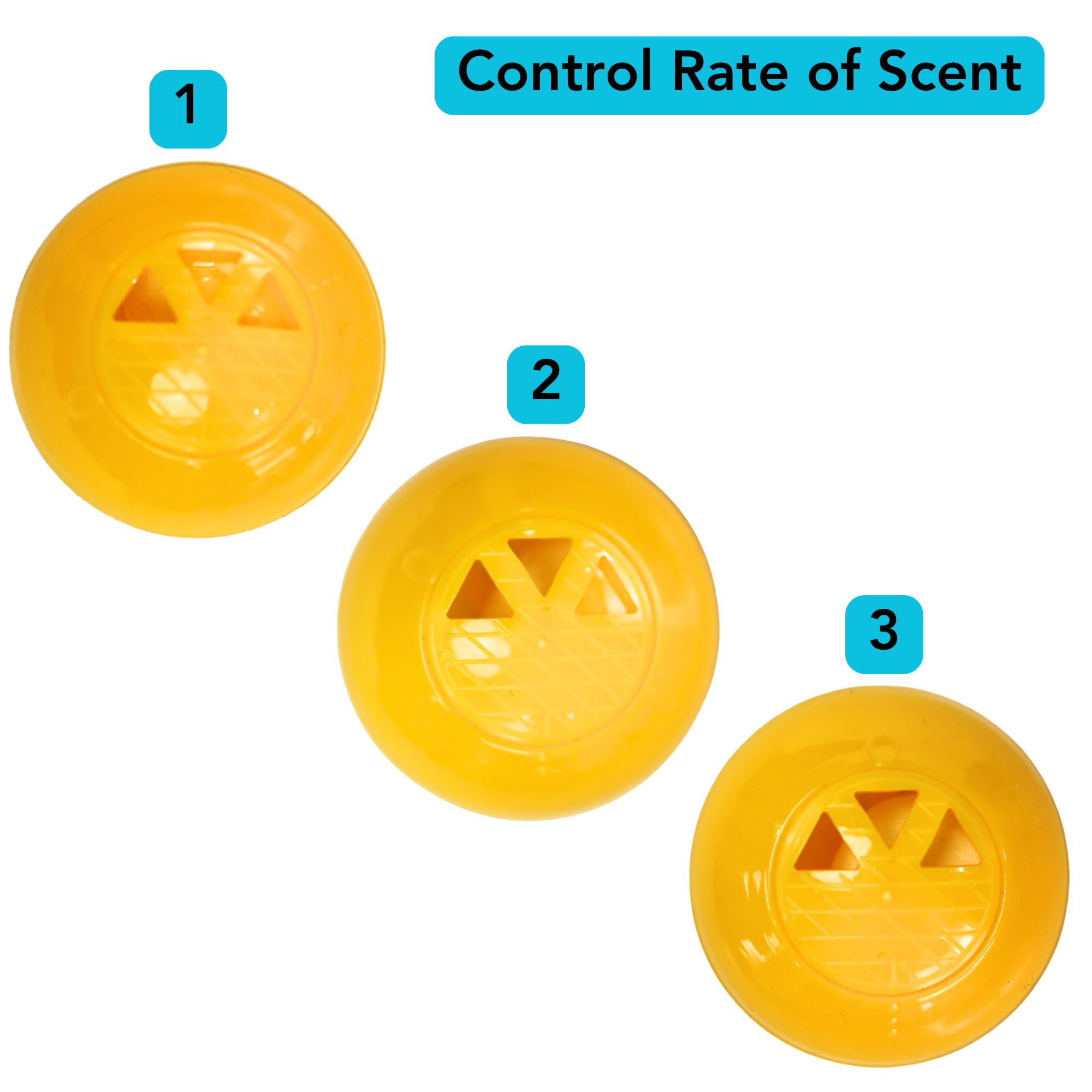 Snapklik.com : Iconikal 12-Pack Sneaker Shoes Backpack Deodorizer Spheres