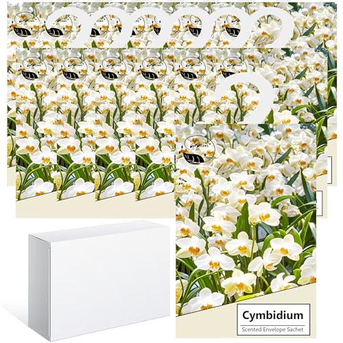 14PCS Saquitos Armario ambientador Lavanda, Perfumador Ropa, Ambientador Armario Ropa Limpia, Bolsa Guardarropa, Hogar Saquitos Armario Ropa, Bolsita Refrescador para Coche, Zapatero (Cymbidium)