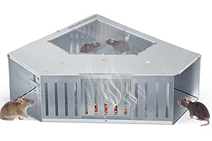 Extra Large Humane Automatic Mouse Trap