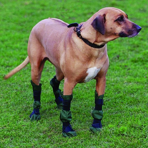 Country Mun Dog Show Benching/Judging Boots (Small)
