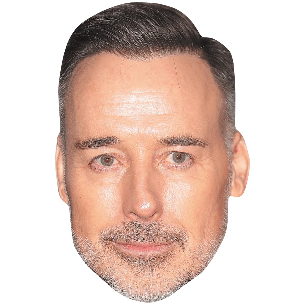 David Furnish (Beard) Celebrity Mask, Flat Card Face, Fancy Dress Mask