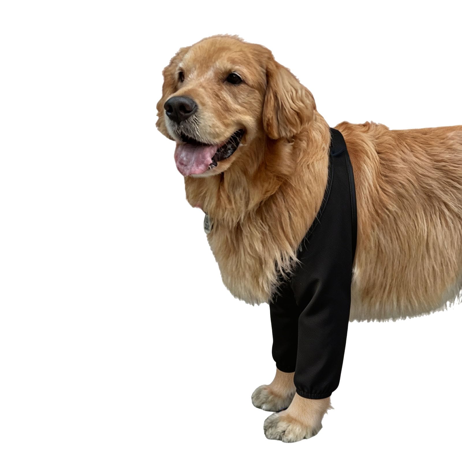 HDKUW Dog Elbow Protector for Calluses, Dog Joint Recovery Sleeve for Prevent Licking Wound, Elbow Sleeves with Mesh Pad for Medium Large Dogs (Black(Waterproof), L)