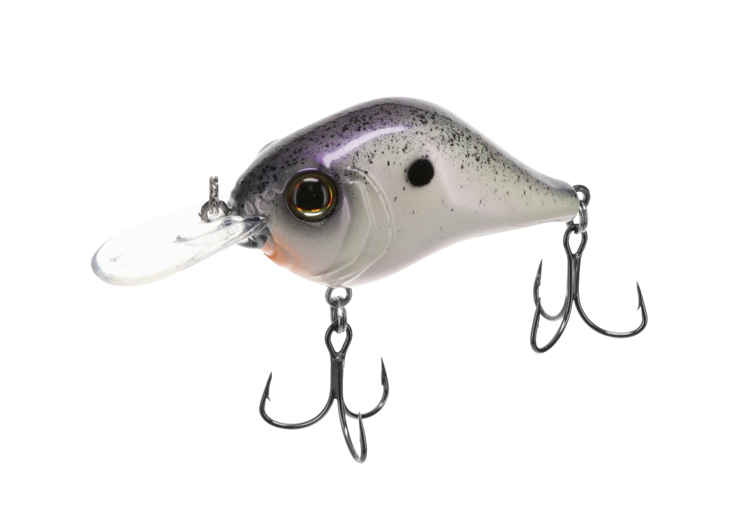 Bill Lewis Lifelike MR-6 Mid-Range MDJ Series 6Ft. Floater Diver 1/2 OZ Crankbait Fishing Wobble Lure for Freshwater, Purple NURPLE