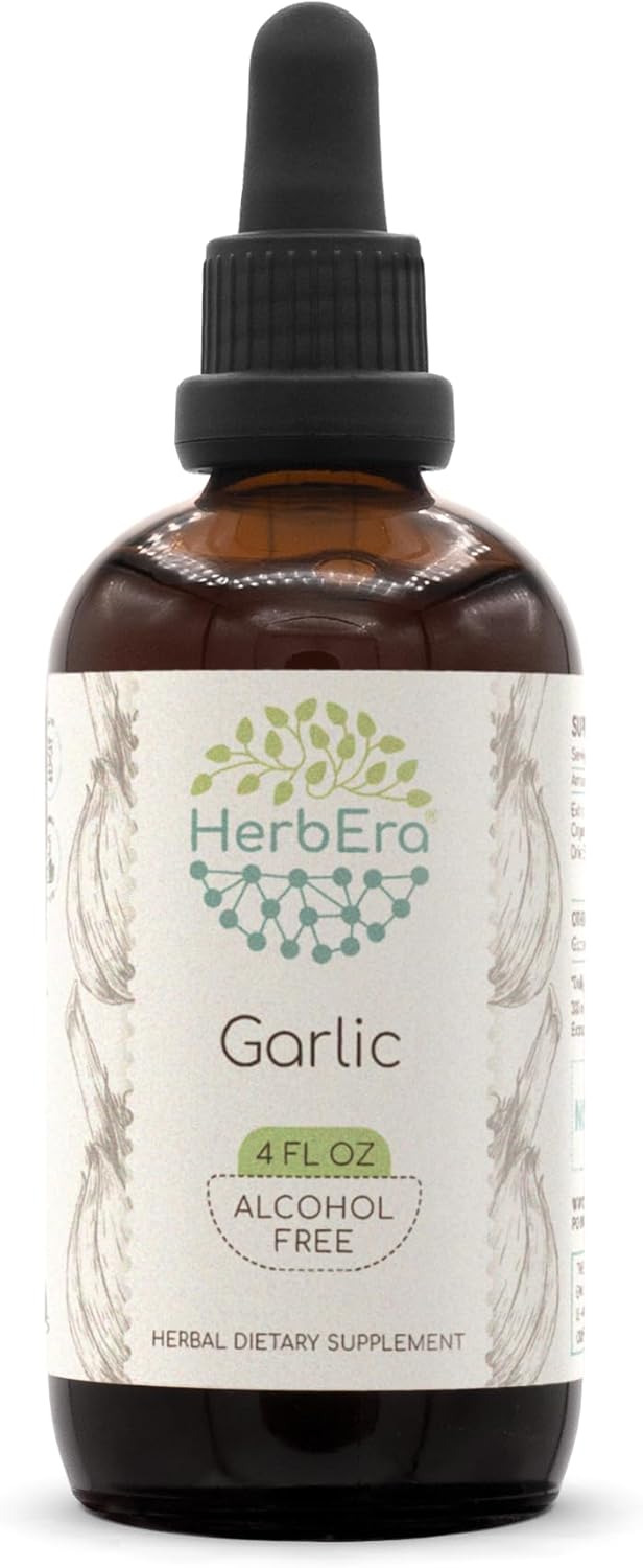 HerbEra Garlic B120 Alcohol-Free Herbal Extract Tincture, Concentrated Liquid Drops Natural Garlic Dried Powder (4 fl oz)