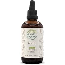 HerbEra Garlic B120 Alcohol-Free Herbal Extract Tincture, Concentrated Liquid Drops Natural Garlic Dried Powder 4 fl oz
