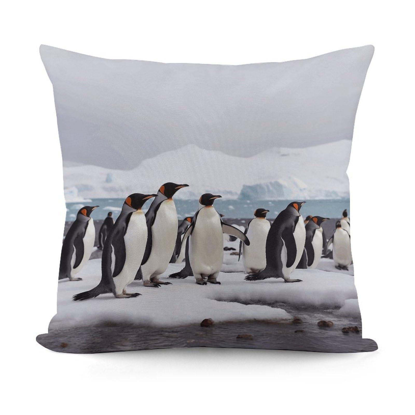 VstaDank Antarctica Penguins Throw Pillow Covers 18x18 Inch Soft Couch Home Decor Cushion Cover Comfortable Plush Square Cushion Case Farmhouse Decorative Pillowcase for Living Couch