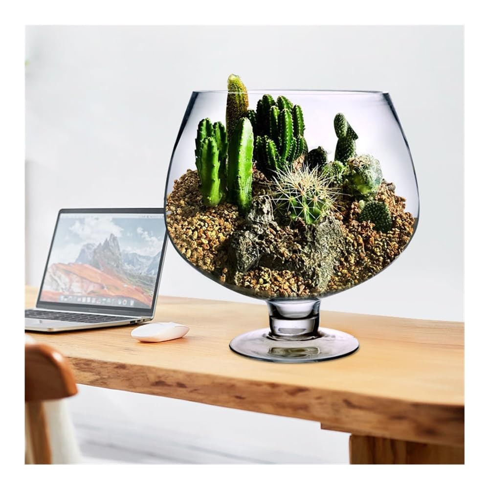 Aquarium Kleines Aquarium aus dickwandigem, transparentem Glas – kreatives Design for Wohnzimmer und Schreibtisch(10cm)