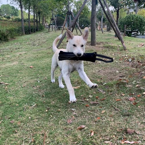 Geavonyg Zerrspielzeug Für Hundetraining Reißfest Alle Hunderassen Geeignet Erleichtert Training Und Sorgt Interaktiv Positive Verstärkung Bei Langeweile Und Intelligenz. Groß Kauen Bei