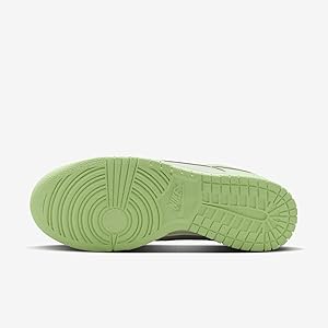 Amazon.com | NIKE Dunk Women's Low Next Nature Se Shoes