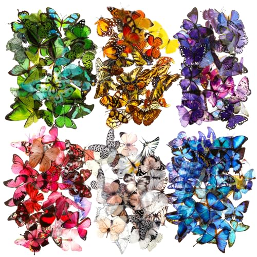 Ptwola 240 autocolantes de borboletas para álbuns de recortes, coloridos, transparentes, de resina PET, resistentes à água, para decoração de bricolage, álbum de fotos, álbuns de recortes, portáteis