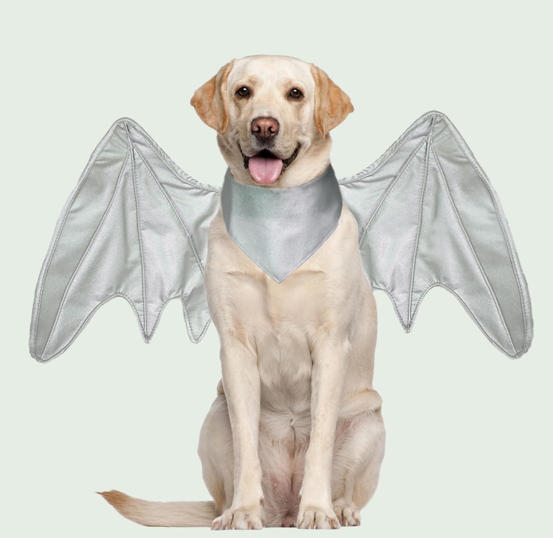Funny Bat Wing Costumes for Dog Cute Furry Pet Clothing for Halloween (Silver dragon wing, Size M), Medium - Image 3
