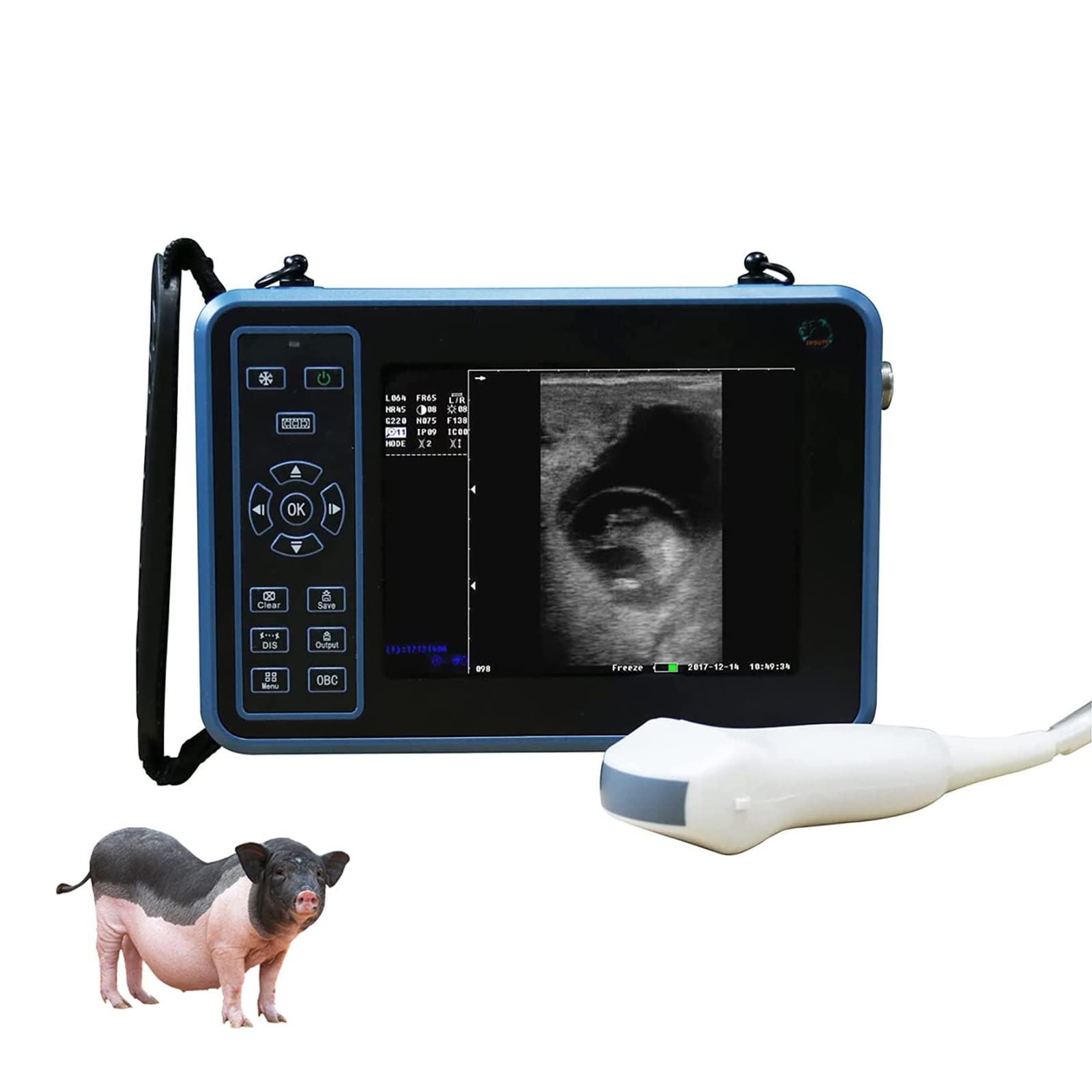 Zestaw ultrasonografu weterynaryjnego, ultrasonograf weterynaryjny typu B, ultrasonograf weterynaryjny z mikrosondą wypukłą