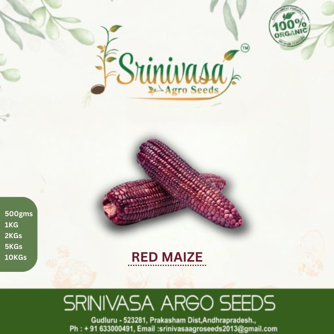 Srinivasa Agro Seeds Red Corn Seeds | Red Maize | Organic Seeds for Planting and Home Gardening (10 G) (B0C8MT8CRN) Amazon Price History, Amazon Price Tracker
