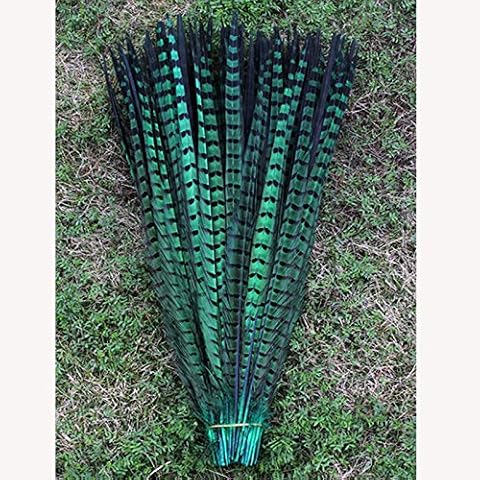 10pcs Natural Pheasant Tails Feather for Hair Hats Crafts Home Wedding Party Decoration 30-35cm DIY Decoration Accessories (Green) Cover