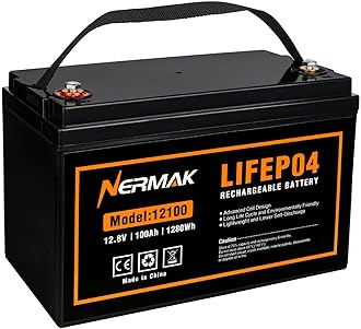 12V 100Ah Lithium LiFePO4 Deep Cycle Battery, 4000+ Cycles Lithium Iron Phosphate Rechargeable Battery for Solar, RV, Marine, Home Energy Storage, Off-Grid Applications Built-in 100A BMS